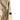 C.P. Company beige zipped overshirt jacket