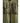 CP Company Olive Green Short Sleeved Overshirt